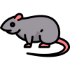 Pest Control